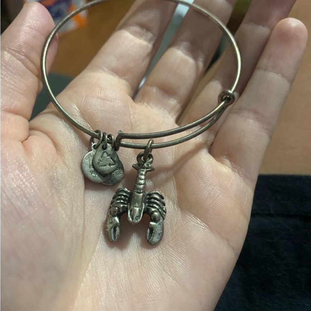 Alex and Ani Silver lobster Charm Bracelet